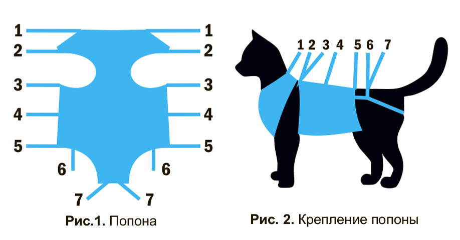 Схема попоны для кошки